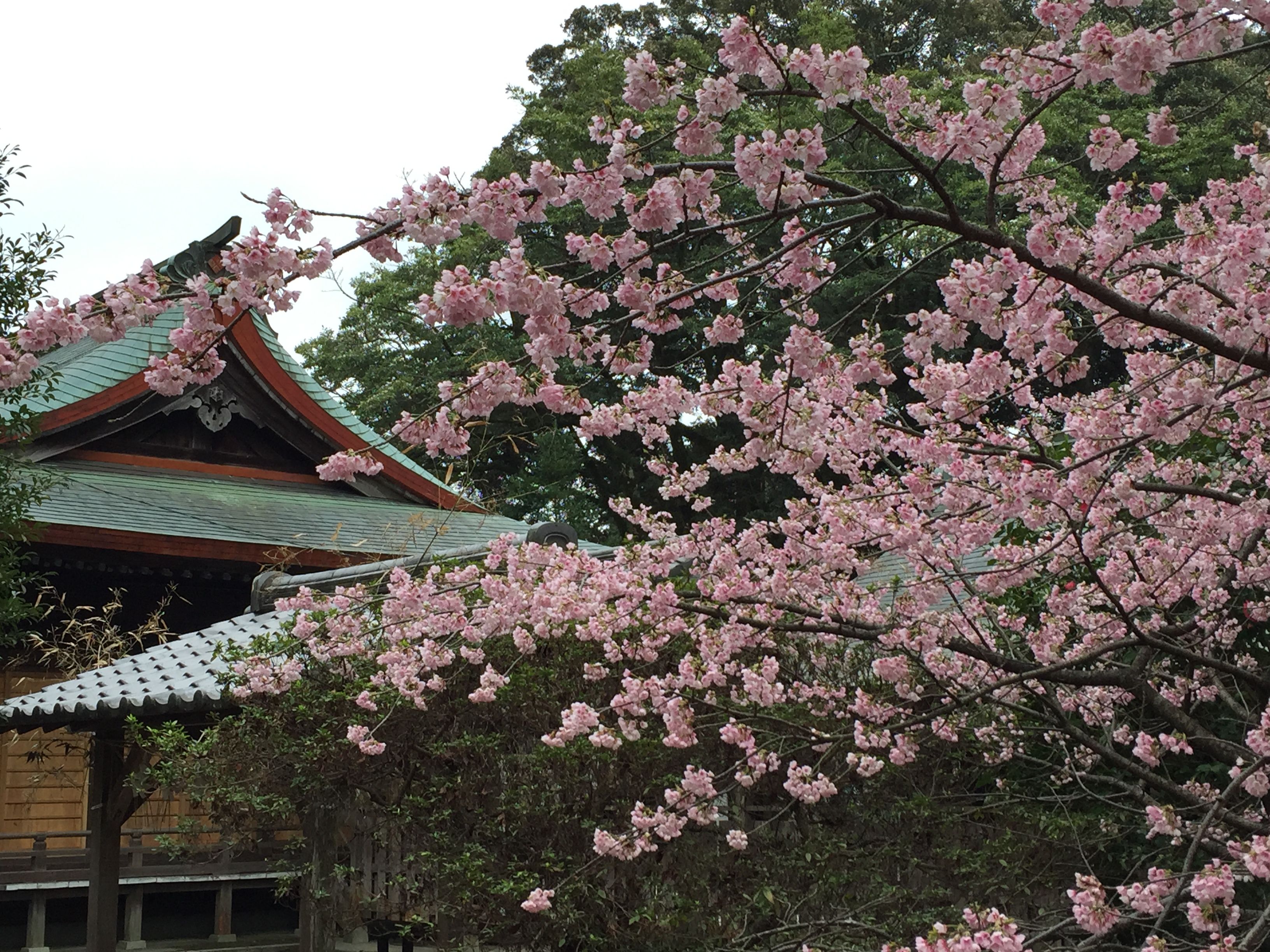 Featured image of the post