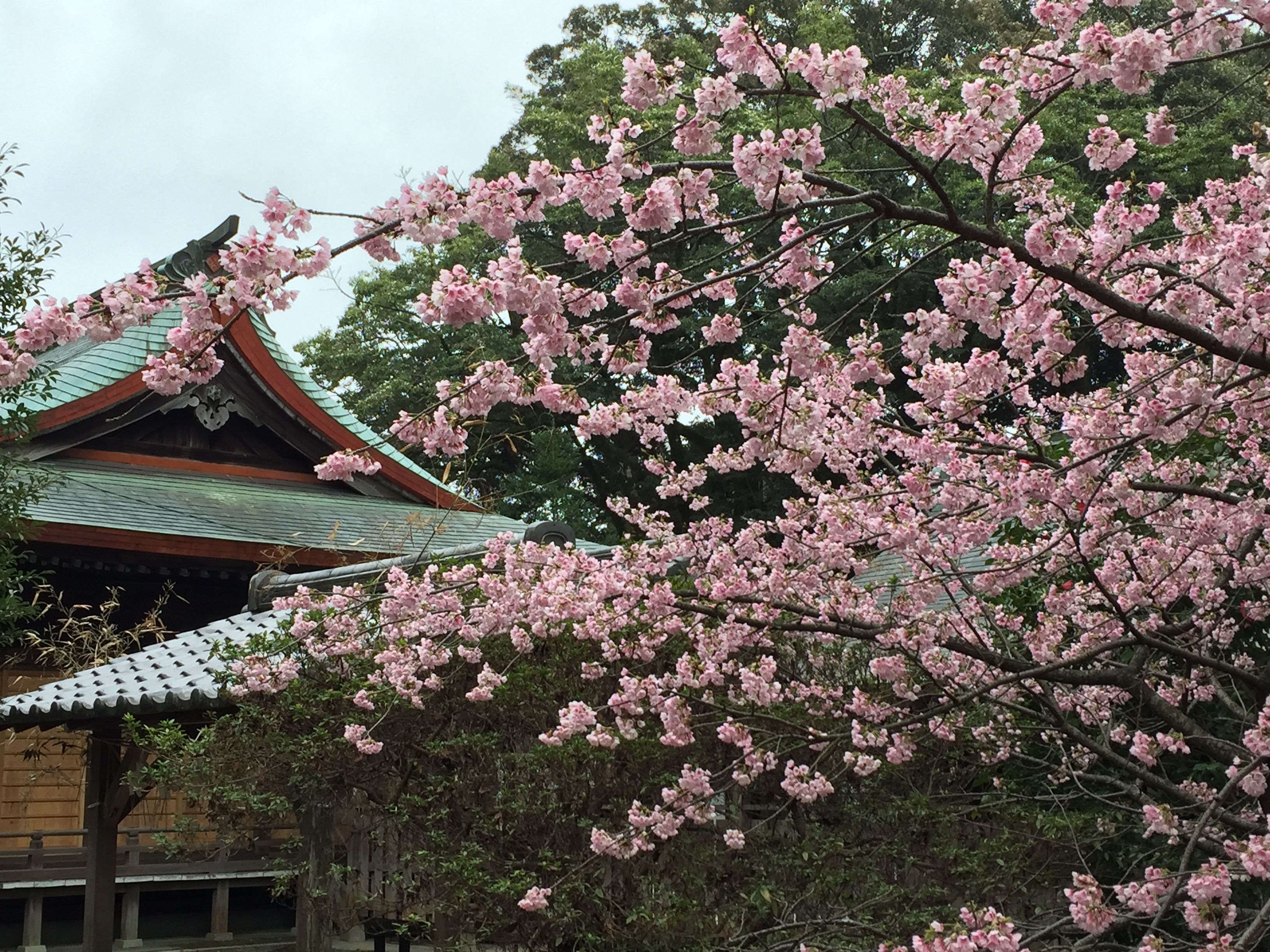 Featured image of the post